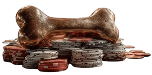 Geld storten vanaf 2 euro, Spindog uitbetaling vanaf 20